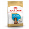 Royal Canin Dachshund Puppy 1,5 kg Royal Canin Dachshund Puppy 1,5 kg