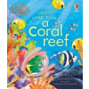 Peep inside a Coral Reef Peep inside a Coral Reef