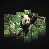 Obraz na plátne viacdielny - OB2448 - Panda 170cm x 100cm - S4A Obraz na plátne viacdielny - OB2448 - Panda 170cm x 100cm - S4A