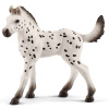 SCHLEICH Horse Club® 13890 Knabstrupský kůň - hříbě (světlé) SCHLEICH Horse Club® 13890 Knabstrupský kůň - hříbě (světlé)