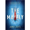 Mayfly - James Hazel Mayfly - James Hazel