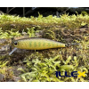 Wobler ILLEX Tiny Fry 50 SP - Truitelle Wobler ILLEX Tiny Fry 50 SP - Truitelle
