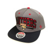 Zephyr Snapback Florida Panthers Zephyr Phenom Zephyr Snapback Florida Panthers Zephyr Phenom