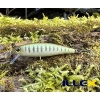 Wobler ILLEX Tiny Fry 50 SP - Vairon Wobler ILLEX Tiny Fry 50 SP - Vairon