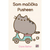 Som mačička Pusheen Som mačička Pusheen