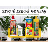 Zdravé izbové rastliny Zdravé izbové rastliny