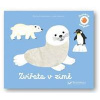Zvířata v zimě - Émilie Malandain, Julie Mercier Zvířata v zimě - Émilie Malandain, Julie Mercier