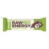 Bombus Raw ENERGY Kokos a kakao BIO 50 g Bombus Raw ENERGY Kokos a kakao BIO 50 g