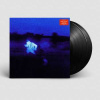 2LP Daniel Caesar: Never Enough 2LP Daniel Caesar: Never Enough