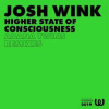 LP Josh Wink: Higher State Of Conciousness (Adana Twins Remixes) LP Josh Wink: Higher State Of Conciousness (Adana Twins Remixes)