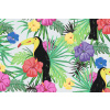 Vymalujsisam.sk Maľovanie podľa čísiel - Tukan tropický Veľkosť: 40x60cm, Rám: Bez rámu, iba zrolované plátno Vymalujsisam.sk Maľovanie podľa čísiel - Tukan tropický Veľkosť: 40x60cm, Rám: Bez rámu, iba zrolované plátno