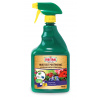 Substral Naturen pre okrasné rastliny - rozprašovač 750 ml EVERGREEN Substral Naturen pre okrasné rastliny - rozprašovač 750 ml EVERGREEN
