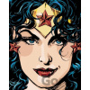 Zuty Wonder Woman prebal komiksu 40 x 50 cm vypnuté plátno na rám 8596530192978 Zuty Wonder Woman prebal komiksu 40 x 50 cm vypnuté plátno na rám 8596530192978