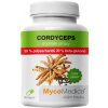 MycoMedica Cordyceps 50 % 90 kapsúl MycoMedica Cordyceps 50 % 90 kapsúl