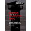 Jedna dlouhá noc - Andrea Pitzerová Jedna dlouhá noc - Andrea Pitzerová