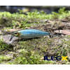 Wobler ILLEX Tiny Fry 38 SP - NF Ablette Wobler ILLEX Tiny Fry 38 SP - NF Ablette