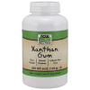 Xantanová guma 170 g - NOW Foods Balení (g): 170 g Xantanová guma 170 g - NOW Foods Balení (g): 170 g