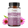 Blendea Echinacea 60 kapsúl Blendea Echinacea 60 kapsúl