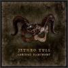 Jethro Tull: Curious Ruminant / 180G Lp-Booklet Jethro Tull: Curious Ruminant / 180G Lp-Booklet