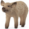 Schleich Sele mangalica Schleich Sele mangalica