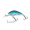 Wobler Hornet SALMO 3,5 cm - Color: HOLOGRAPHIC SUPER BLEAK Wobler Hornet SALMO 3,5 cm - Color: HOLOGRAPHIC SUPER BLEAK