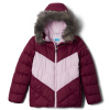 Detská Zimná prešívaná bunda COLUMBIA G ARCTIC BLAST JACKET 1908241616 – Fialová Detská Zimná prešívaná bunda COLUMBIA G ARCTIC BLAST JACKET 1908241616 – Fialová