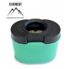 Briggs&Stratton VZDUCHOVÝ FILTER BRIGGS&STRATTON 2 VALCE OHV NOVÝ TYP EVEREST Briggs&Stratton VZDUCHOVÝ FILTER BRIGGS&STRATTON 2 VALCE OHV NOVÝ TYP EVEREST
