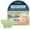 Yankee Candle - voňavý vosk Sage & Citrus, 22 g Yankee Candle - voňavý vosk Sage & Citrus, 22 g
