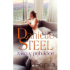 Jako v pohádce - Danielle Steel Jako v pohádce - Danielle Steel