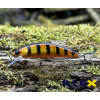Wobler ILLEX Tricoroll 55 S - Aurora Black & Gold Wobler ILLEX Tricoroll 55 S - Aurora Black & Gold