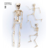 Widmann Kostra - Skeleton 50 cm Widmann Kostra - Skeleton 50 cm