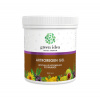 Green idea Artroregen masážní gel 250 ml Green idea Artroregen masážní gel 250 ml