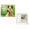 MFP 1061705 SK Kalendár 2026 stolový mini Psie plemená MFP 1061705 SK Kalendár 2026 stolový mini Psie plemená