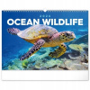 NOTIQUE - nástenný kalendár Podmorský svet 2026, 48 × 33 cm NOTIQUE - nástenný kalendár Podmorský svet 2026, 48 × 33 cm