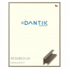 DANTIK rám na obraz 40 x 50 champagne DANTIK rám na obraz 40 x 50 champagne
