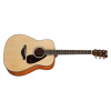 YAMAHA FG800M YAMAHA FG800M