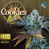 T.H.Seeds™ Cannabis Seeds Auto French Cookies, rôzne balenie, feminizované 2 pcs T.H.Seeds™ Cannabis Seeds Auto French Cookies, rôzne balenie, feminizované 2 pcs