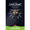 E-kniha Zaklínač: vzestup krále všech RPG - Benoît Reinier E-kniha Zaklínač: vzestup krále všech RPG - Benoît Reinier