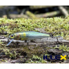 Wobler ILLEX Tiny Fry 50 SP - RT Waka Ayu Wobler ILLEX Tiny Fry 50 SP - RT Waka Ayu
