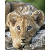 Michael Poliza, Baby Ani… Michael Poliza, Baby Ani…