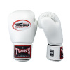 Boxerské rukavice - Twins Special - BG-N V2 - biele Boxerské rukavice - Twins Special - BG-N V2 - biele