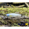 Wobler ILLEX Tiny Fry 50 SP - Natural Wakasagi Wobler ILLEX Tiny Fry 50 SP - Natural Wakasagi
