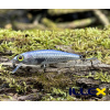 Wobler ILLEX Tiny Fry 50 SP - RT Mullet Wobler ILLEX Tiny Fry 50 SP - RT Mullet