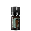 DoTerra Smrek čierny (Black Spruce) 5 ml DoTerra Smrek čierny (Black Spruce) 5 ml