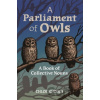 A Parliament of Owls - Chloe Rhodes A Parliament of Owls - Chloe Rhodes