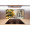 Panel do kuchyne Jeseň vs zima 100x50 cm Panel do kuchyne Jeseň vs zima 100x50 cm