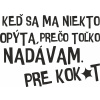 DTF nažehľovačka DTF transfer/nažehľovačka Prečo toľko nadávaš Rozmer: A5 DTF nažehľovačka DTF transfer/nažehľovačka Prečo toľko nadávaš Rozmer: A5
