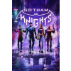 Gotham Knights Gotham Knights