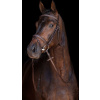 HKM Uzdečka Jana HKM, hnedá Veľkosť: EXTRA FULL HKM Uzdečka Jana HKM, hnedá Veľkosť: EXTRA FULL