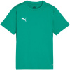 Detské tričko Puma TeamGoal green 658637 05 152CM Detské tričko Puma TeamGoal green 658637 05 152CM